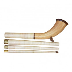 Alphorn Erle, Model Avantgard