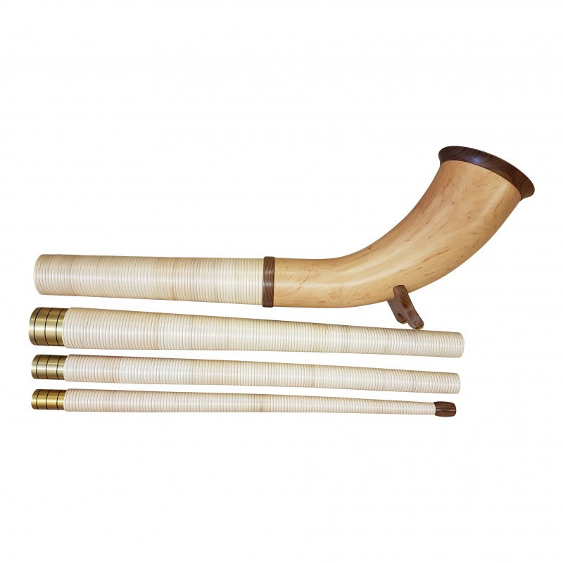 Alphorn Erle, Model Avantgard